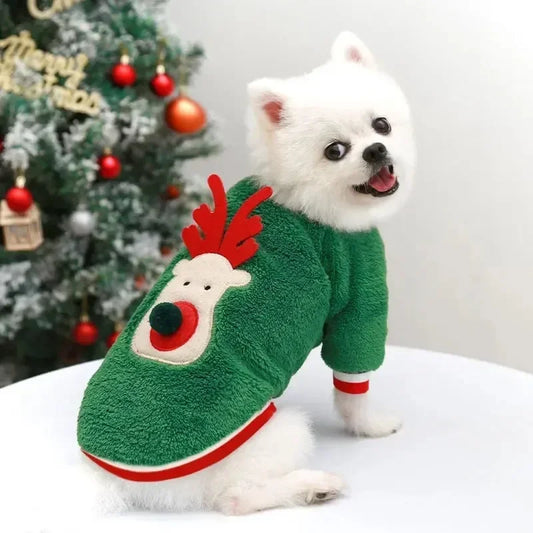 Festive Pet Coat