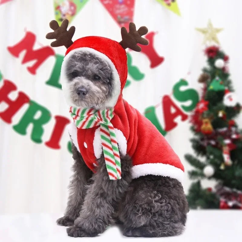 Festive Pet Coat