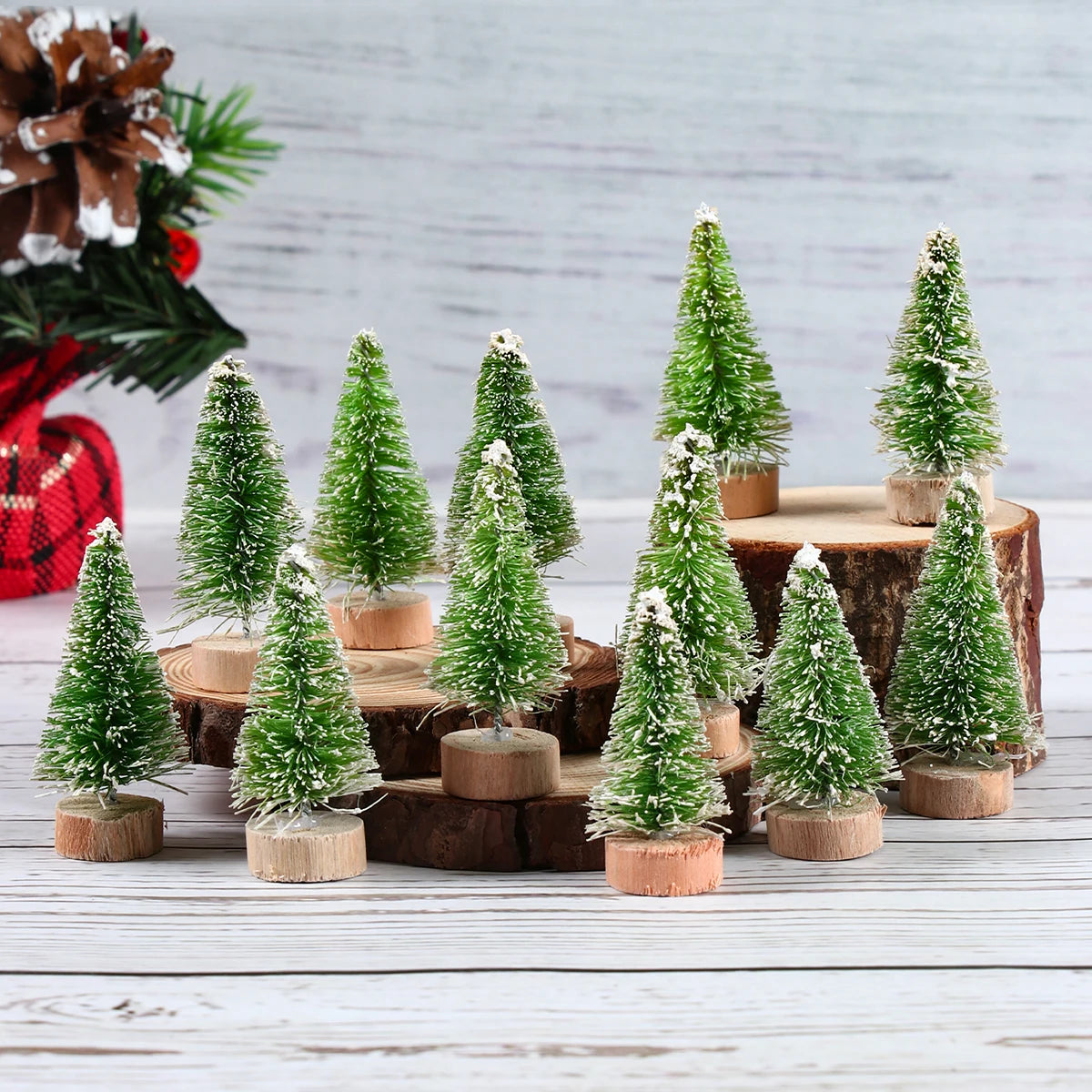 Charming Mini Pine Tree